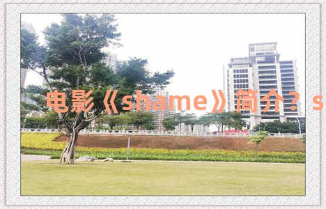 电影《shame》简介？shame 影评